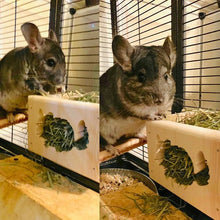 Load image into Gallery viewer, chinchilla hay feeder
