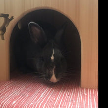 Load image into Gallery viewer, Corner door rabbit house
