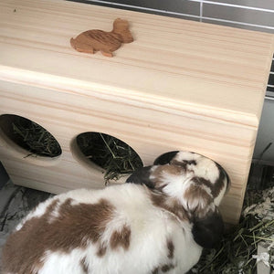 Rabbit Hay Feeder-slim fit