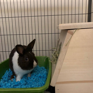 Rabbit Hay Feeder