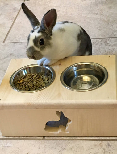 Bunny rabbit feeder with two bowls