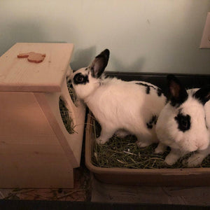 Rabbit Hay Feeder