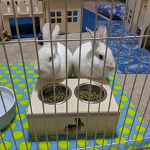 Load image into Gallery viewer, Pet Bunny Rabbit Feeding Station
