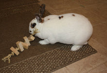 Load image into Gallery viewer, Sisal Rope Rabbit Toy
