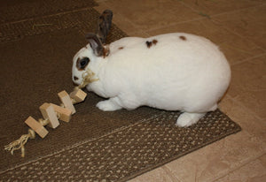 Sisal Rope Rabbit Toy