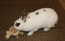 Load image into Gallery viewer, Rabbit Toy, Bunny Toss Toy
