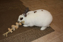 Load image into Gallery viewer, Sisal Rope Rabbit Toy
