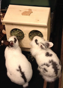 Bunny rabbit hay feeder