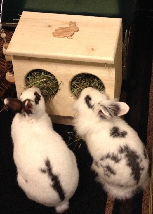 Bunny rabbit hay feeder