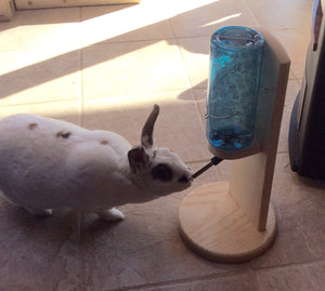 Rabbit, guinea pig, chinchilla water bottle holder
