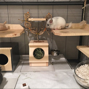 Chinchilla hay feeder