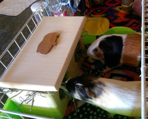 Guinea pig hay feeder