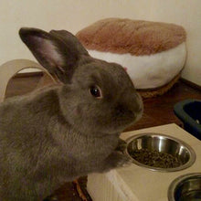 Load image into Gallery viewer, Pet Bunny Rabbit Feeding Station
